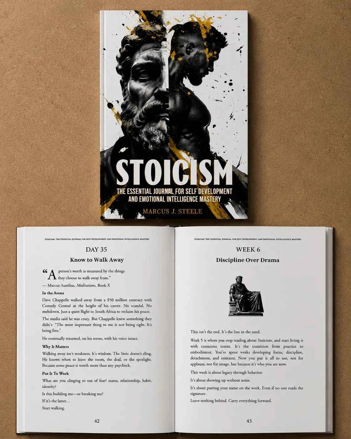 STOICISM: 365 Daily Lessons