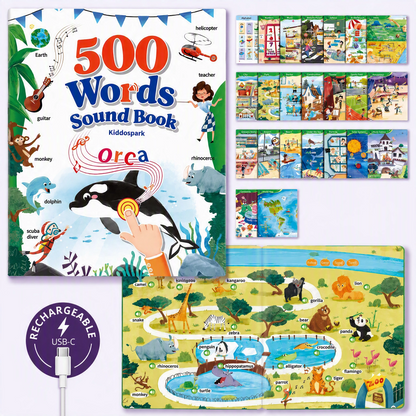 The 500 word sound book